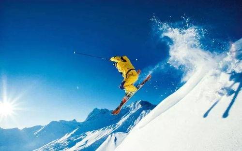 爆料滑雪视频下载安装,畅享冬季运动新体验